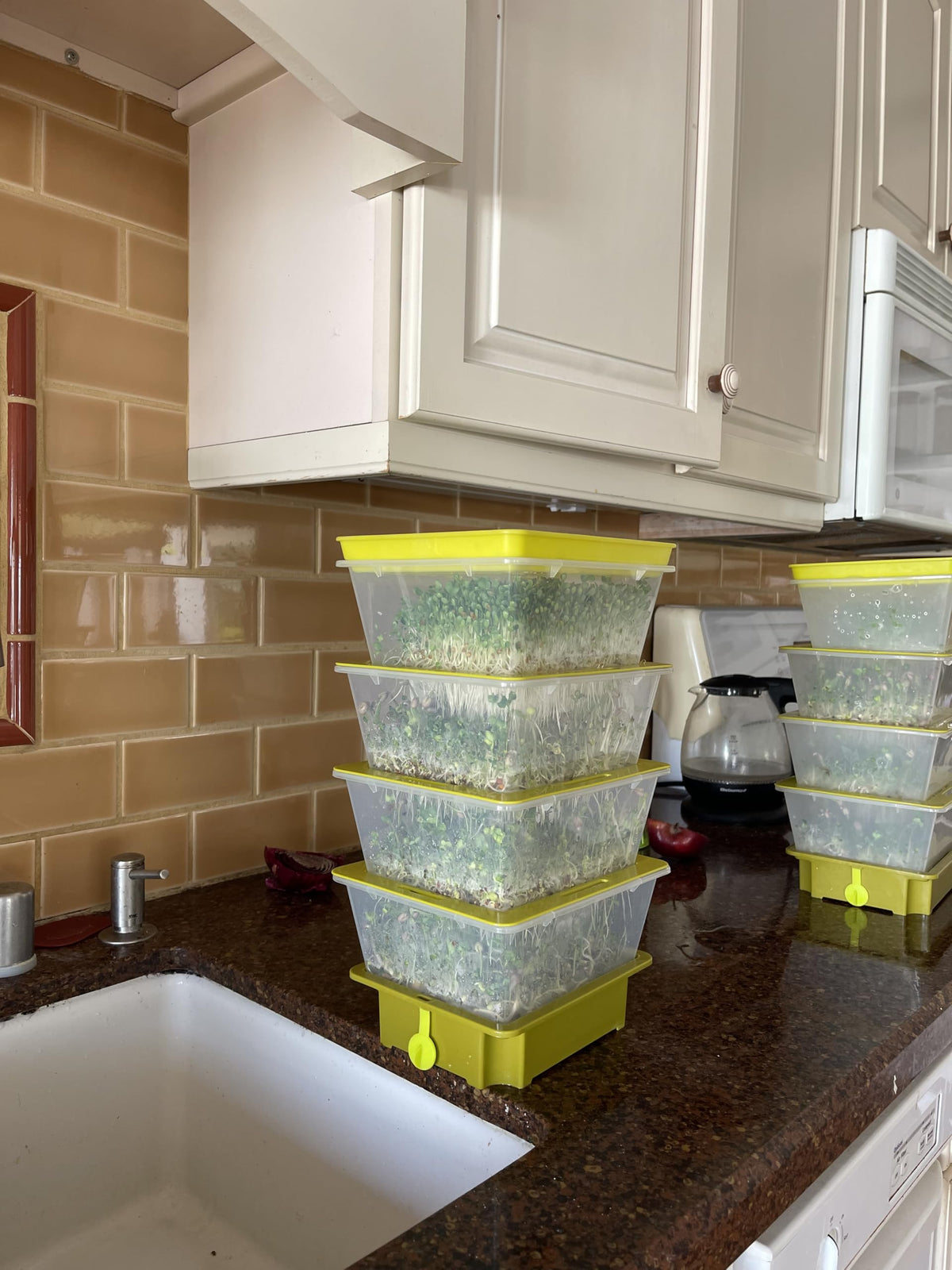 ZESTIGREENS lifetime replacement warranty accompanies every kit