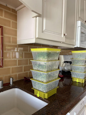 ZESTIGREENS lifetime replacement warranty accompanies every kit