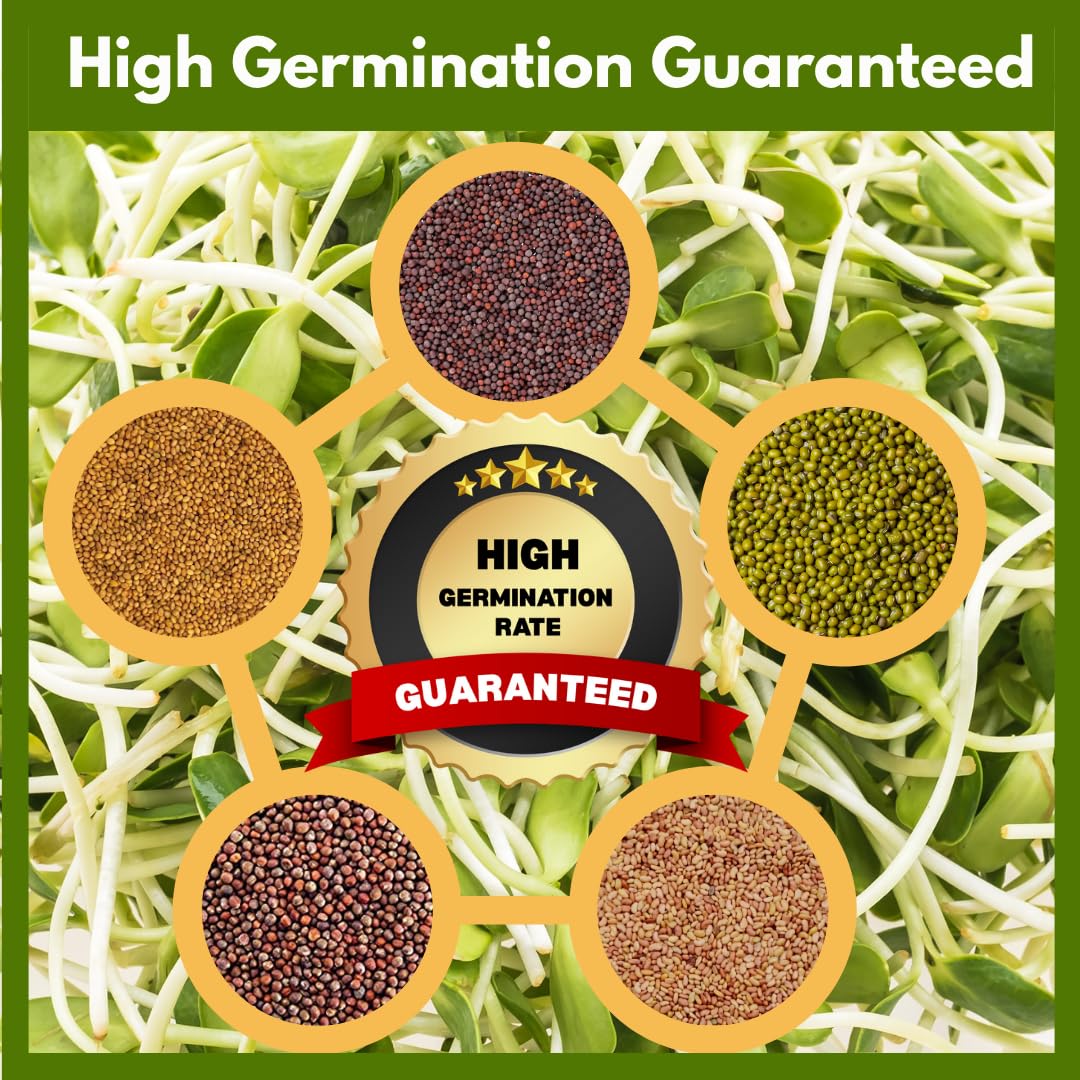 ZestiGreens mung bean seed pack for protein-rich sprouts.
