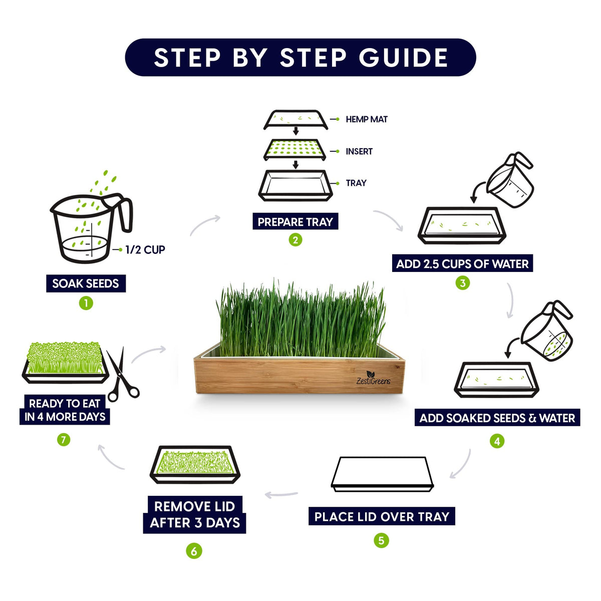 ZESTIGREENS organic wheatgrass seeds ready to germinate in the kit.