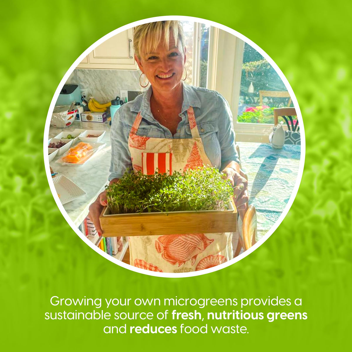 ZESTIGREENS pea microgreens seeds quick to grow for fresh snacks