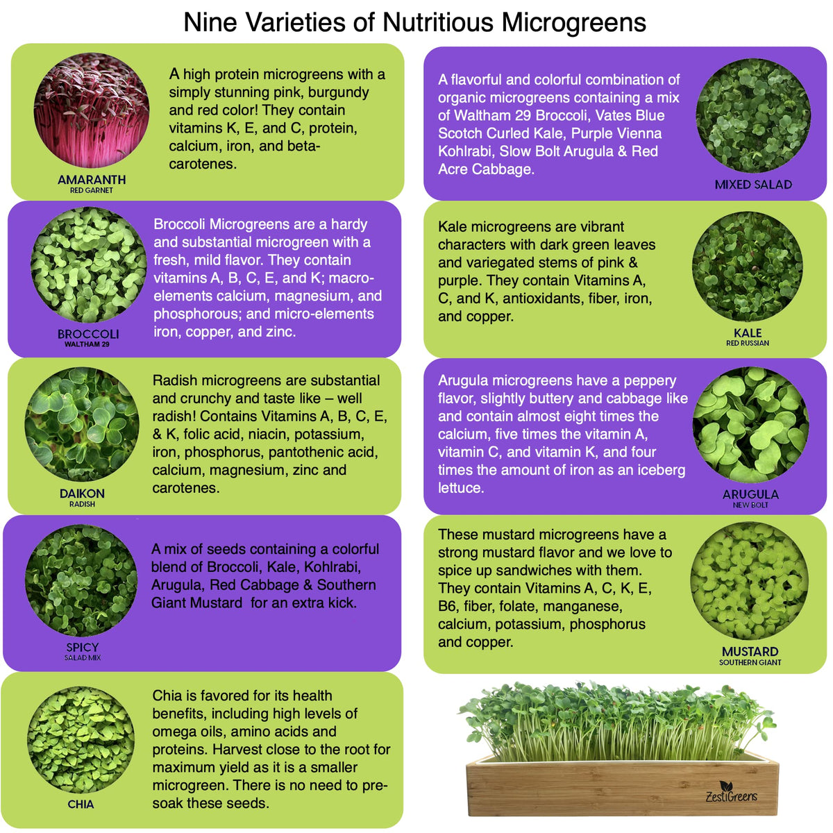 ZESTIGREENS broccoli seed packets for crisp microgreens harvest
