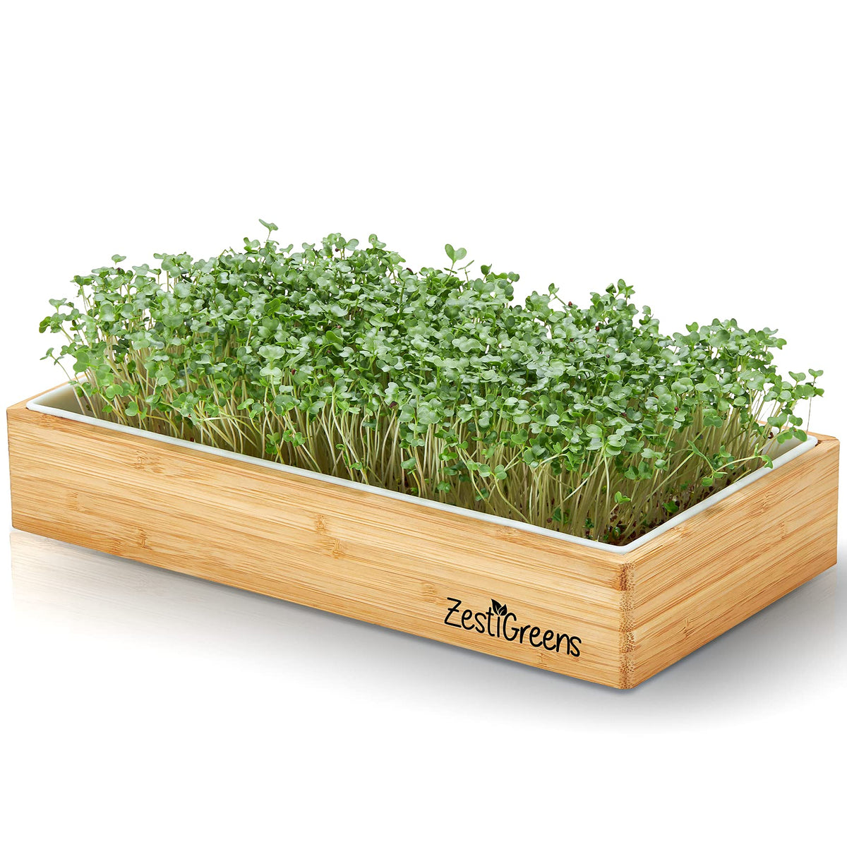 ZESTIGREENS chia seed packets for fast-growing microgreens