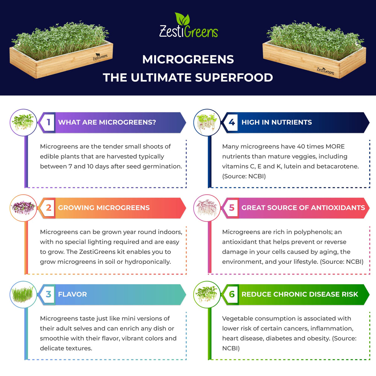 ZESTIGREENS kale seed packets for nutrient-dense microgreens growth