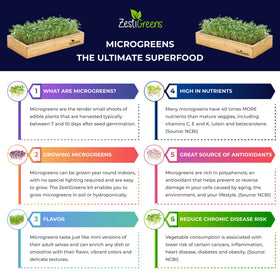 ZESTIGREENS kale seed packets for nutrient-dense microgreens growth