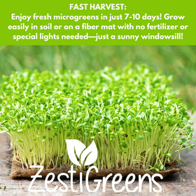 ZESTIGREENS salad mix microgreens seeds versatile for meals and bowls