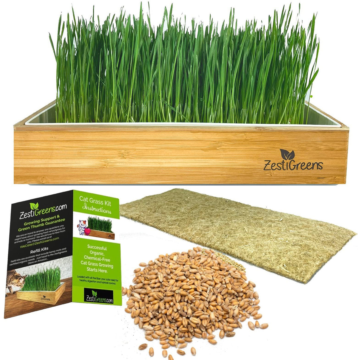 ZESTIGREENS self-watering cat grass kit with dishwasher-safe tray and bamboo surround.
