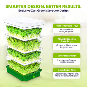 ZESTIGREENS single-tray setup on countertop for quick small-batch sprouts