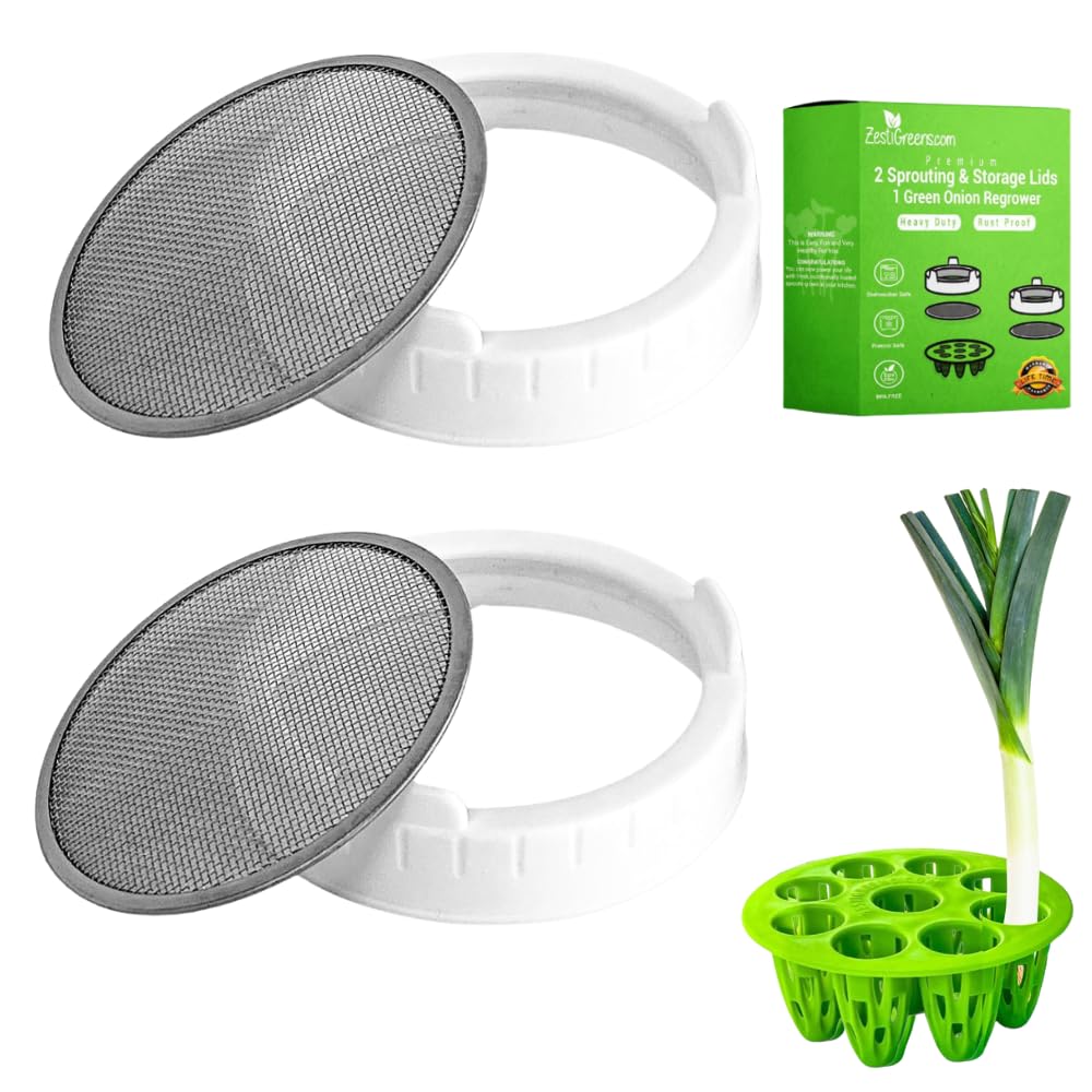 ZESTIGREENS sprouting lid on a wide mouth jar enabling quick kitchen sprouts