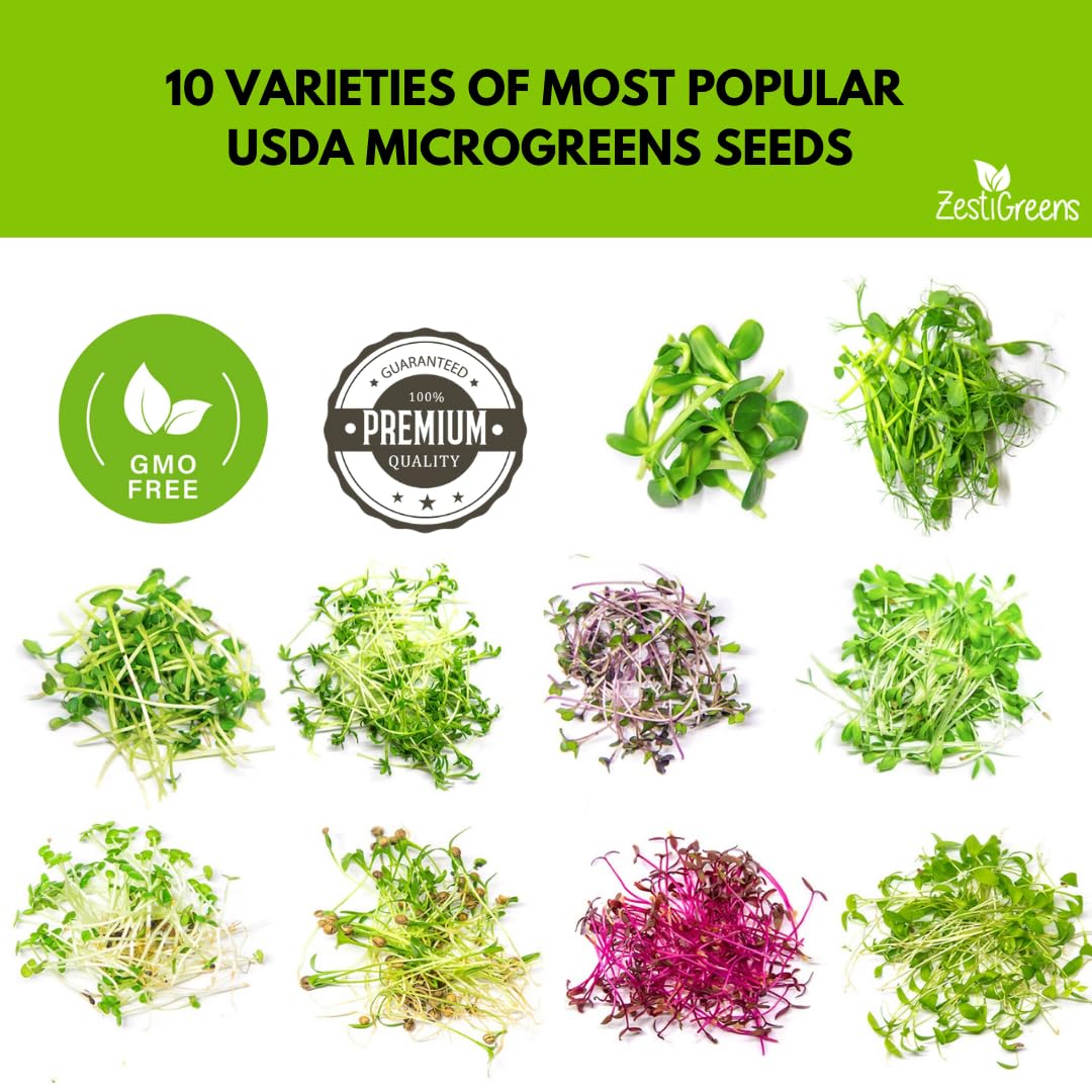 ZESTIGREENS sunflower microgreens seeds ideal for nutrient-rich salad garnishes