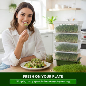 ZESTIGREENS US-based support helps beginners achieve sprouting success