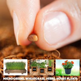 ZESTIGREENS versatile planting medium for various plants