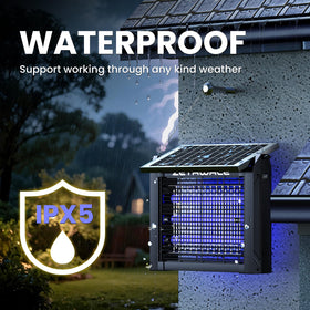 ZETAWALE ambient-light mode adds subtle yard illumination for outdoor spaces.