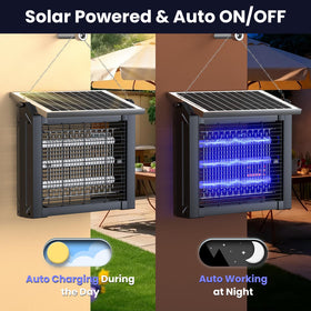 ZETAWALE zapper in auto dusk-dawn mode demonstrates smart evening operation.