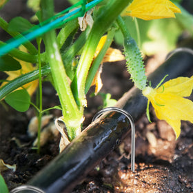 Zevlux sharp-tip stakes easily pierce soil for quick installation and strong hold.