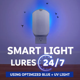 ZEVO blue UV light illuminates to attract gnats and fruit flies.