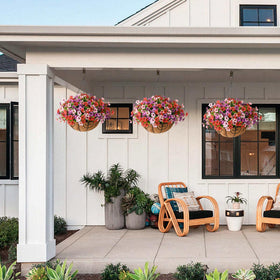 ZFProcess colorful silk daisies in planter evoke spring vibes