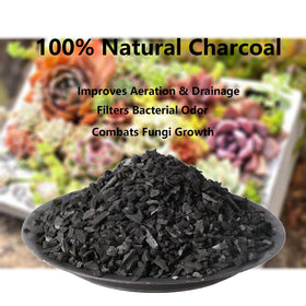 ZFYOUNG activated charcoal acts as a nutrient sponge for improved availability.
