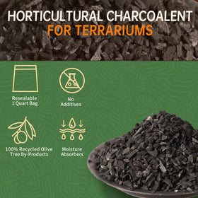 ZFYOUNG activated charcoal for soil aeration supports better water retention and nutrient access.