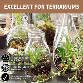 ZFYOUNG charcoal odor control keeps indoor garden soil smelling fresh and clean.