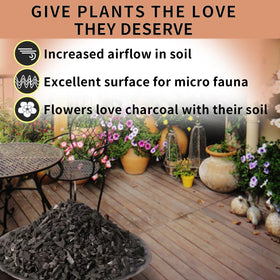 ZFYOUNG horticultural charcoal in a potted plant soil mix boosts aeration and root growth.