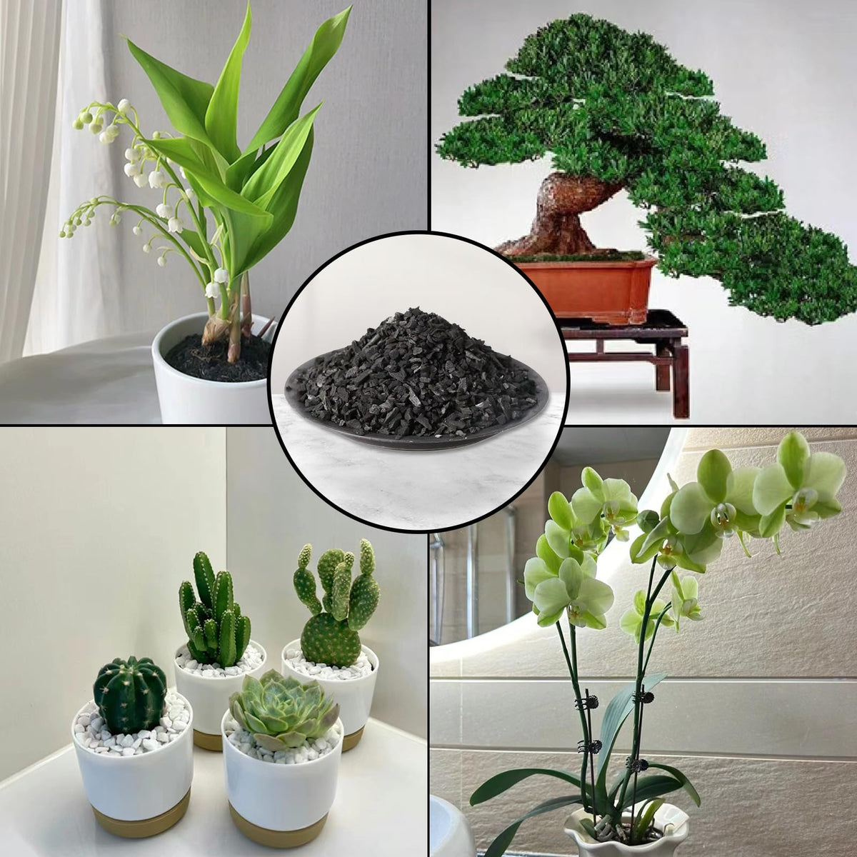 ZFYOUNG pure hardwood charcoal for greenhouse use supports healthy plant environments.