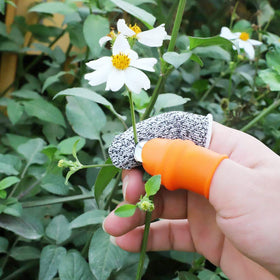ZGYFJCH Versatile use on cucumber, eggplant, tomato for precise harvests.