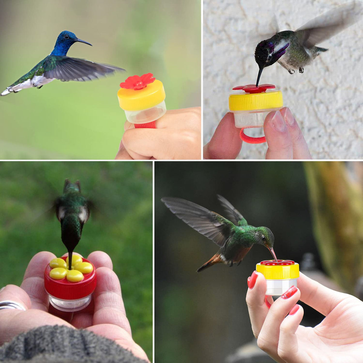 ZHBDMGK gift-ready hummingbird feeder kit for nature lovers.
