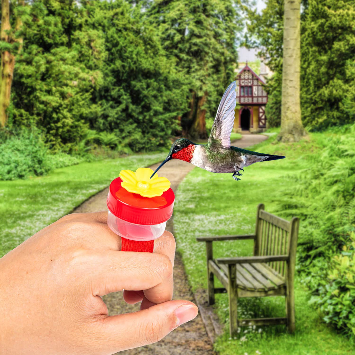 ZHBDMGK portable outdoor bird feeder kit for on-the-go birding.