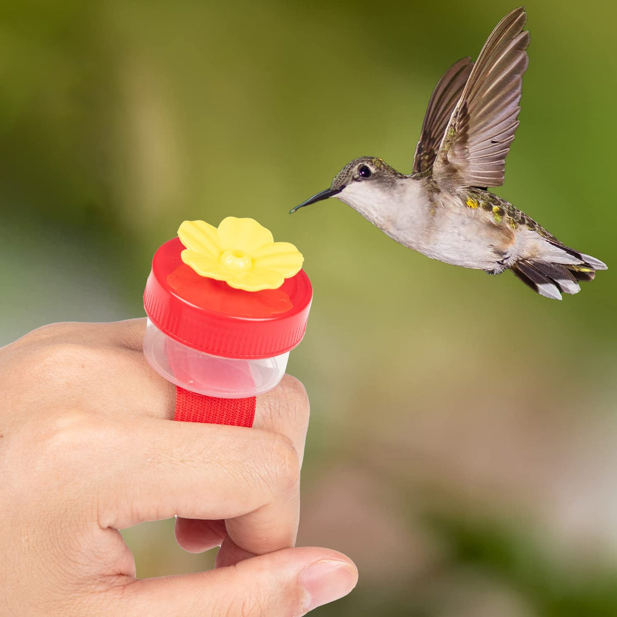 ZHBDMGK window-mount hummingbird feeder enabling front-row viewing.