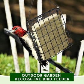 Zhehao suet bird feeder hanging chain, simple installation in any outdoor space.