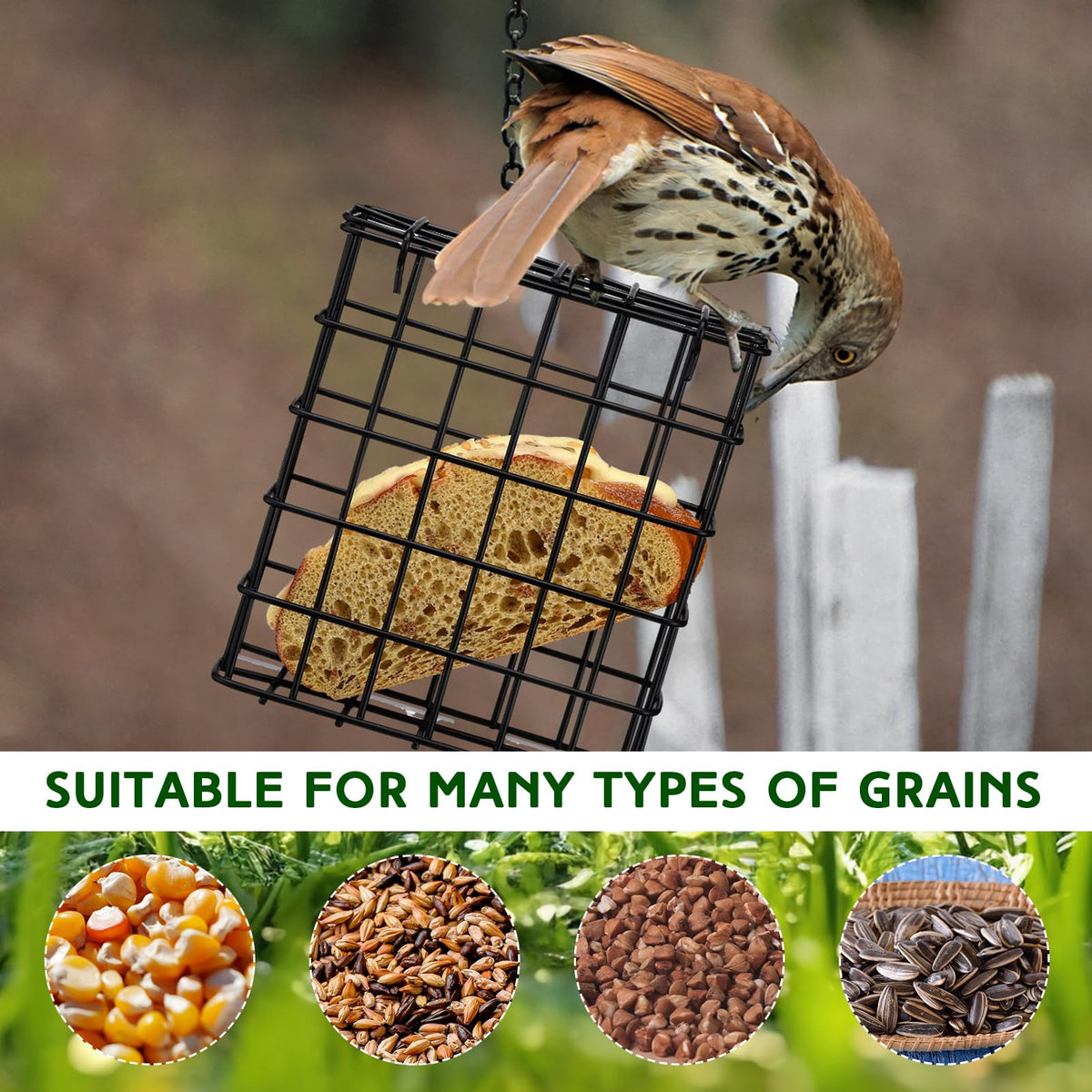 Zhehao suet bird feeder open housing, promotes airflow to keep feed fresh.