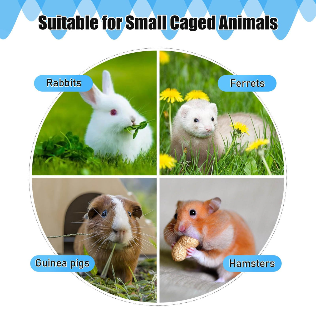 ZHEQOGZH multi-cage water system for nearby enclosures