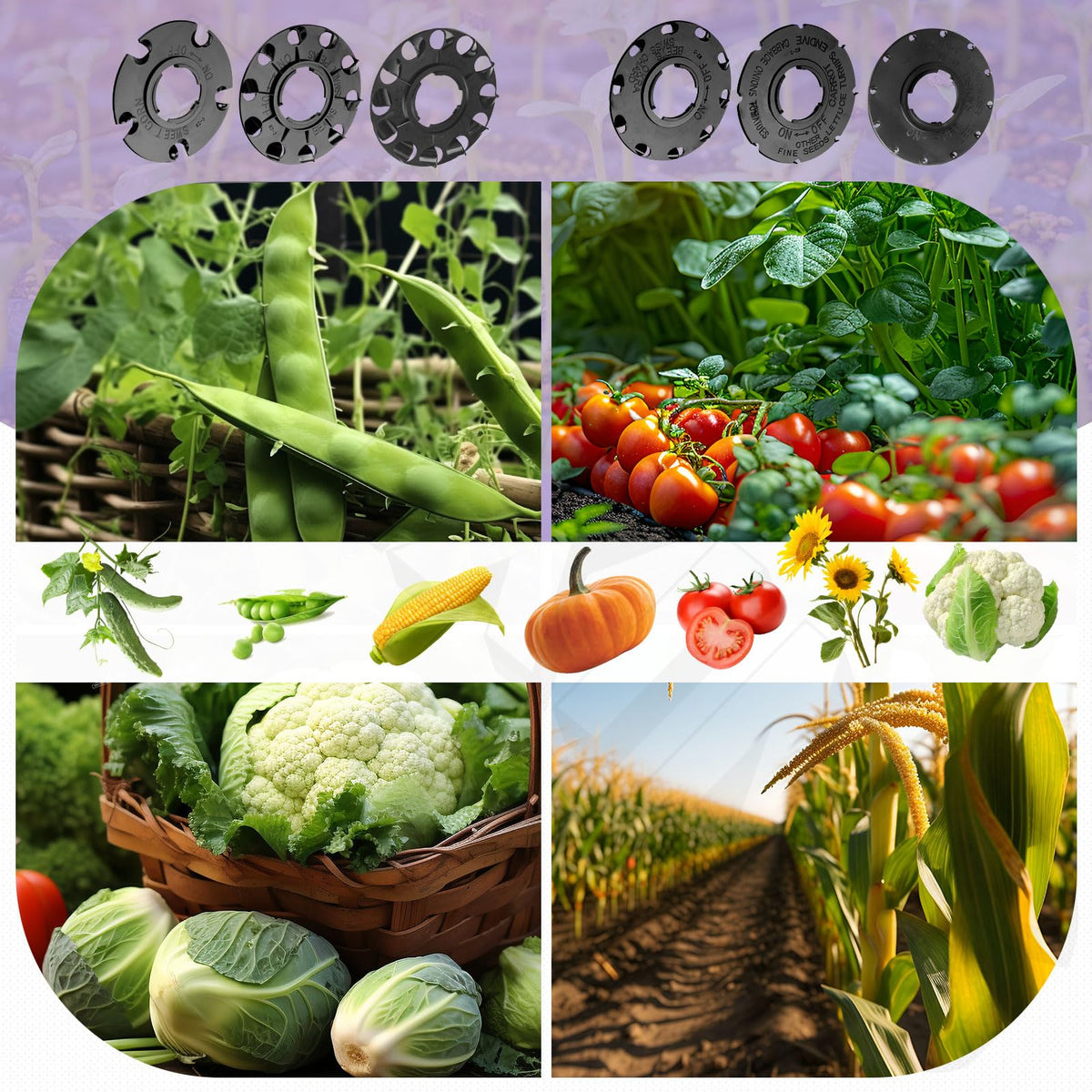 ZHIXING multiple sizes available for diverse seed types.