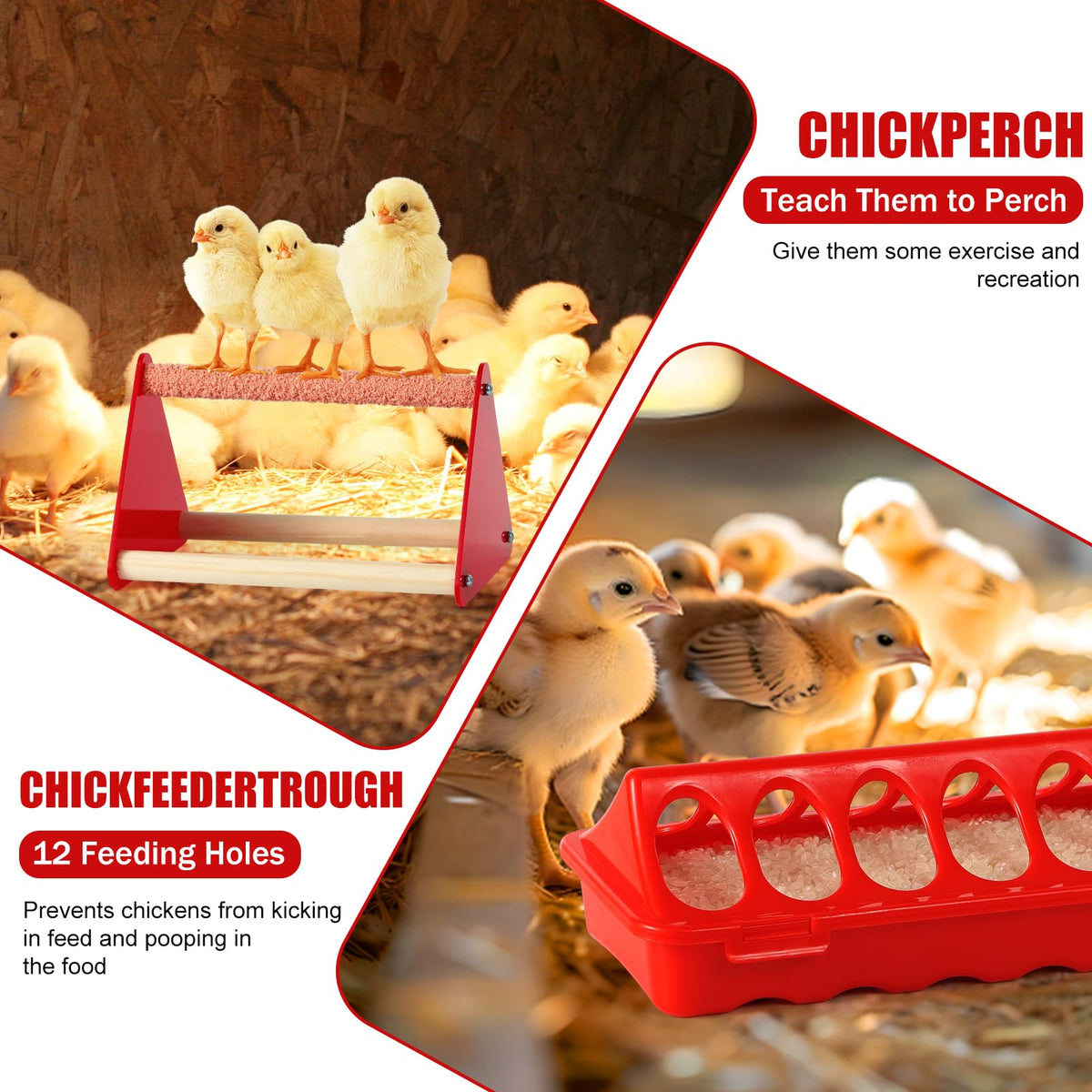 Anti-spill waterer and sealed feeder from ZhiYueOnePets reduce spills in red brooders.