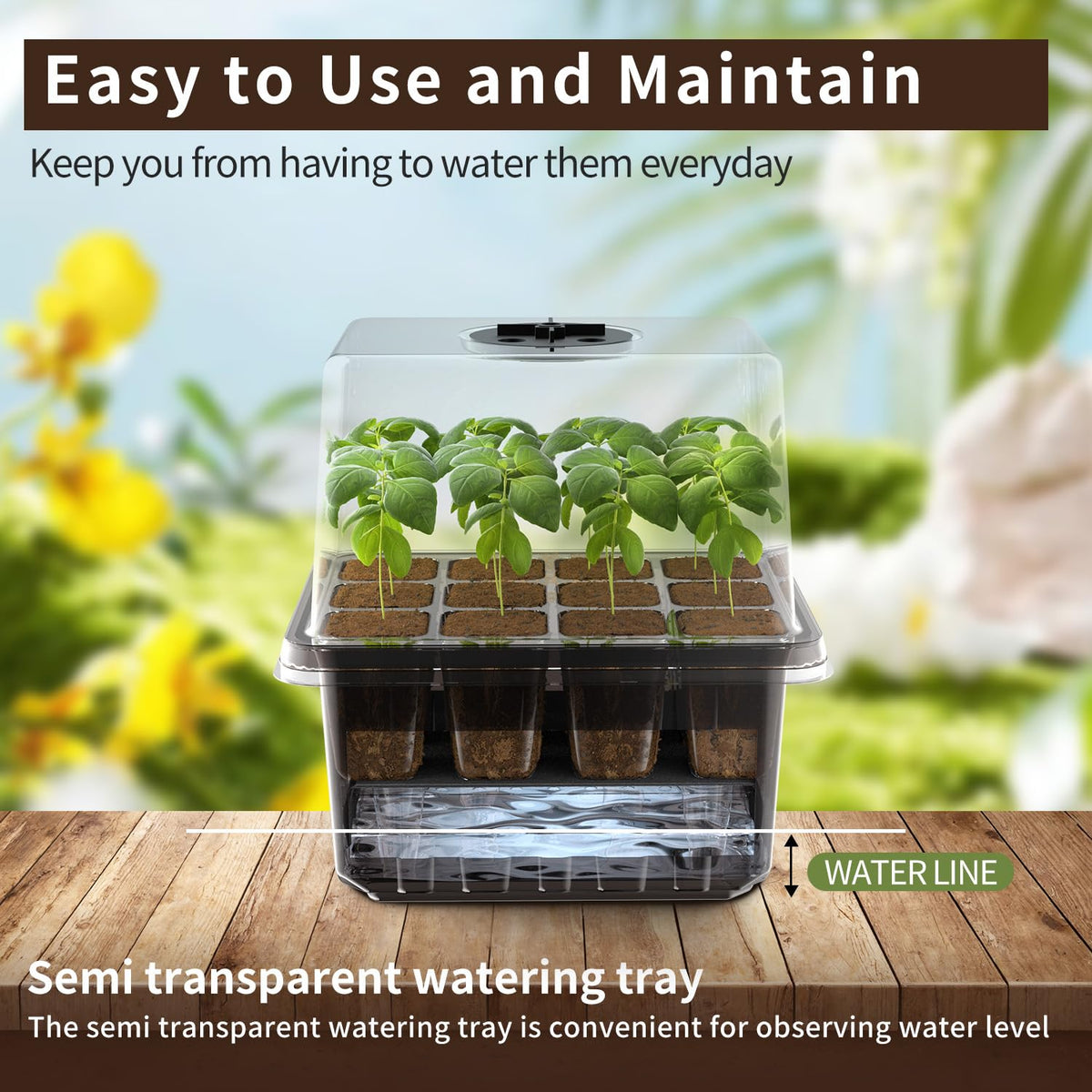 ZHOLAH 60-cell seed-starter tray keeps seeds organized for orderly sprouts