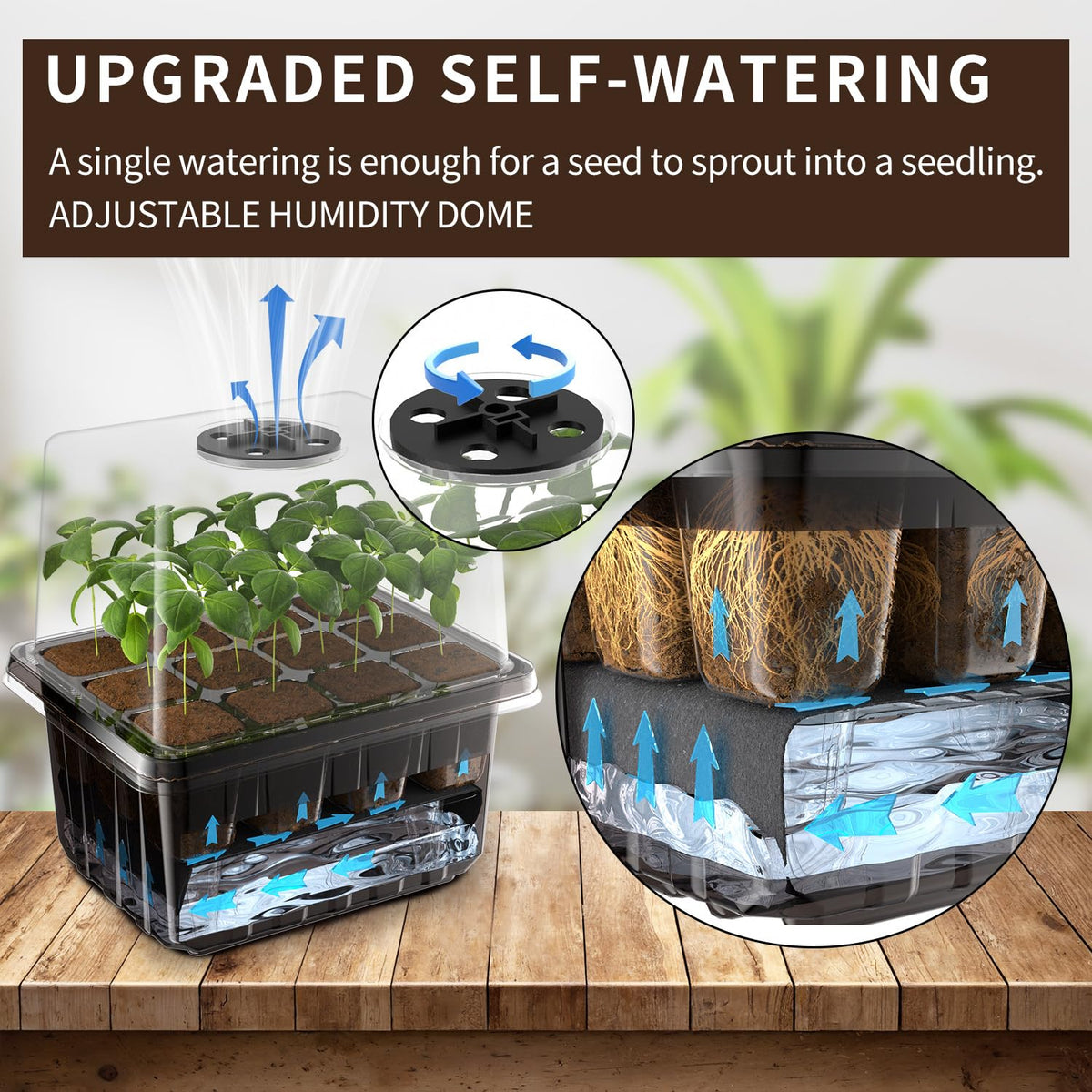 ZHOLAH seed starter trays humidity-dome provides extra headroom for robust seedlings