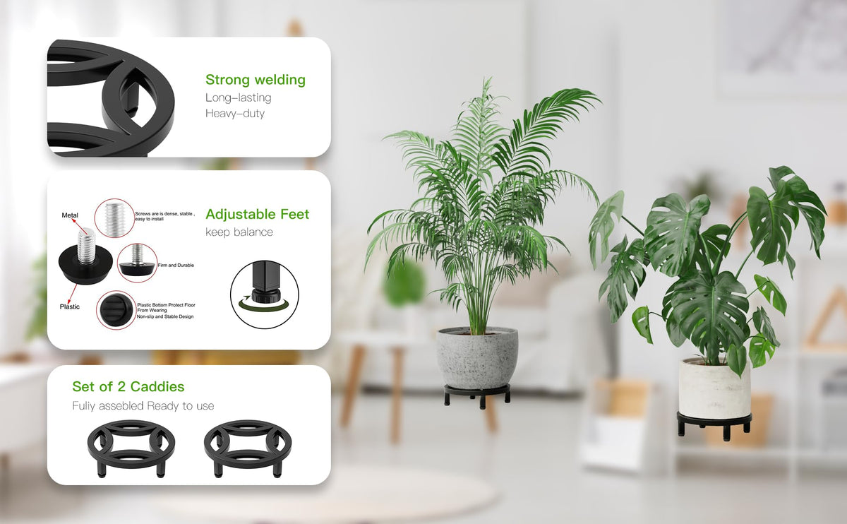 Zhongma low-profile plant riser keeps plants elevated neatly.