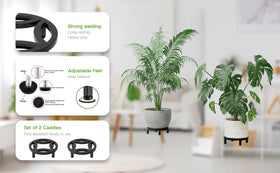 Zhongma low-profile plant riser keeps plants elevated neatly.