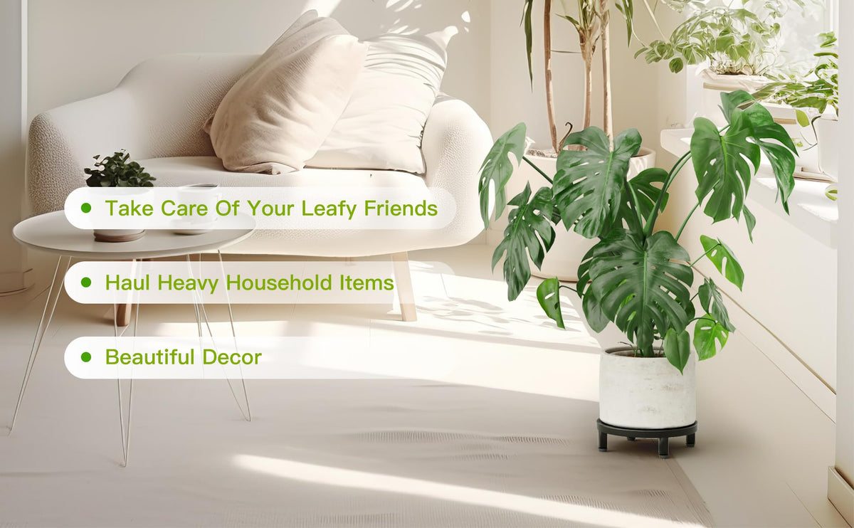 Zhongma heavy-duty design supports up to 220 pounds safely.