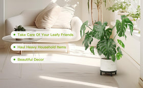 Zhongma heavy-duty design supports up to 220 pounds safely.