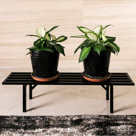 Zhongma plant stand with dimension focus and elevated display height