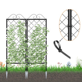 Zhongma powder-coated frame trellis, rustproof and weather resistant for outdoor use.