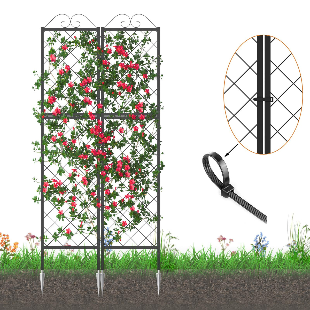 Aluminum ground stakes stabilize Zhongma trellises outdoors.