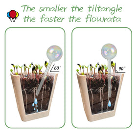 zHzHGuo indoor-outdoor globes demonstrate versatile plant hydration for home or garden.