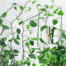ZIBo ABS resin clip material is durable and plant-friendly.