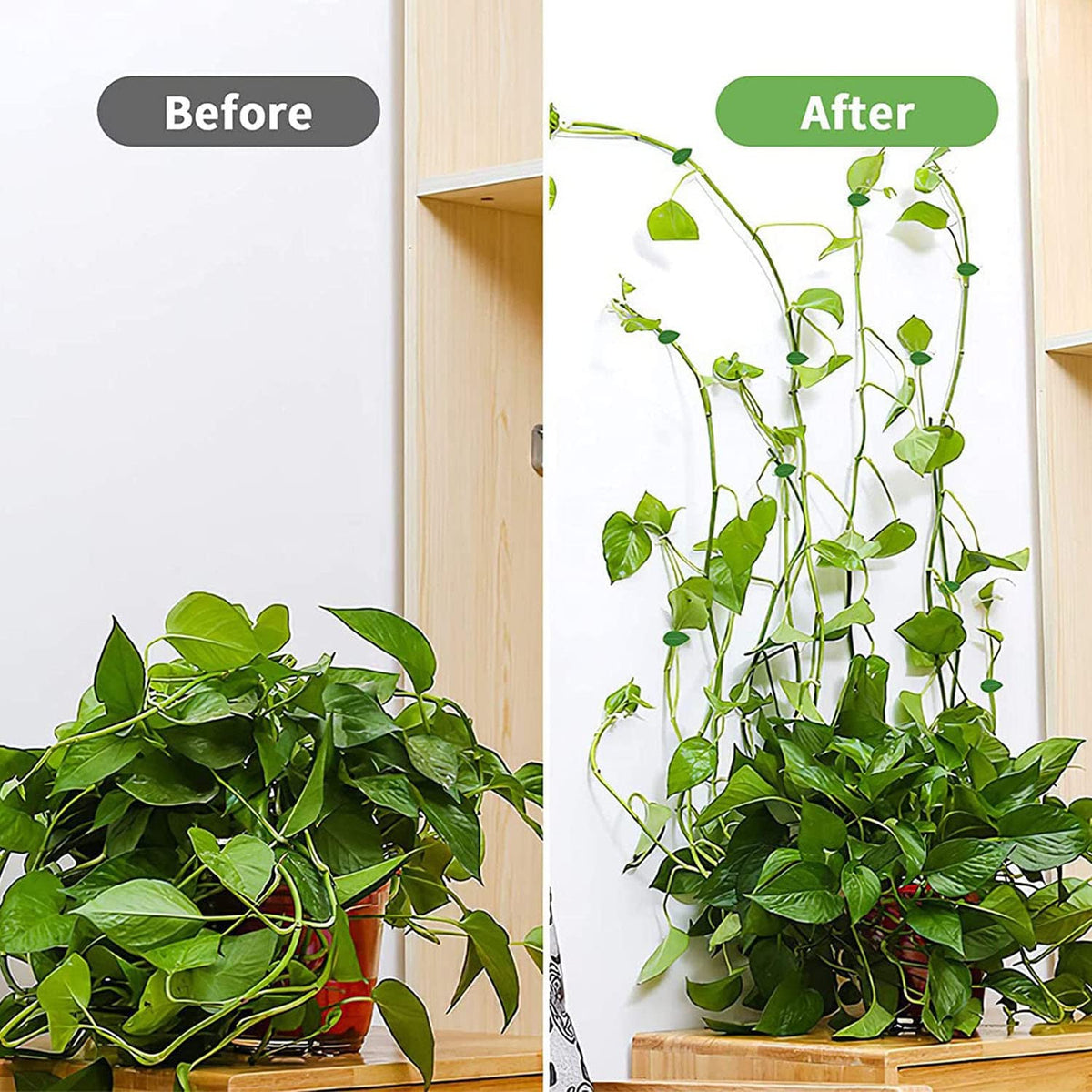 ZIBo cable management clip keeps wires organized on walls.