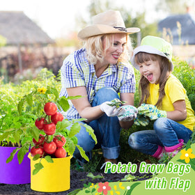 Ziliny 24-piece pack offers color variety for different plant groups.