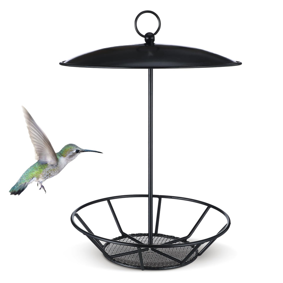 Ziliny cylinder bird feeder outdoors with seed cake, designed to attract diverse garden birds and easy viewing