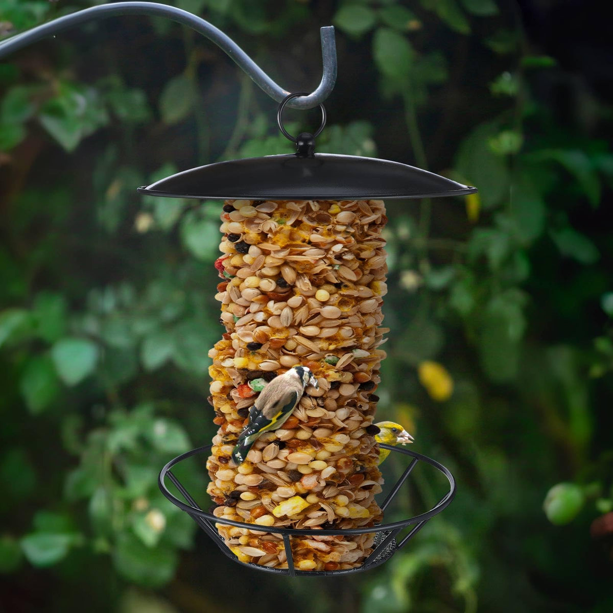 Ziliny easy-fill seed cake feeder for quick assembly and refills outdoors